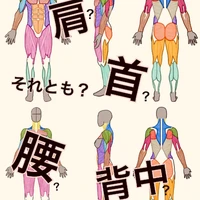 画像290
