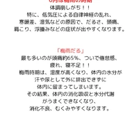 画像337