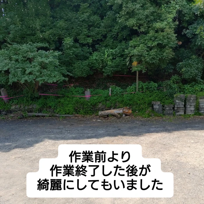 画像424