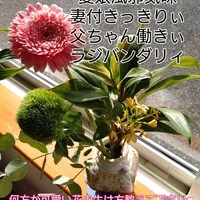 画像573