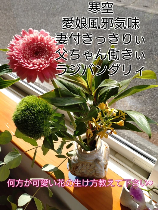 画像573