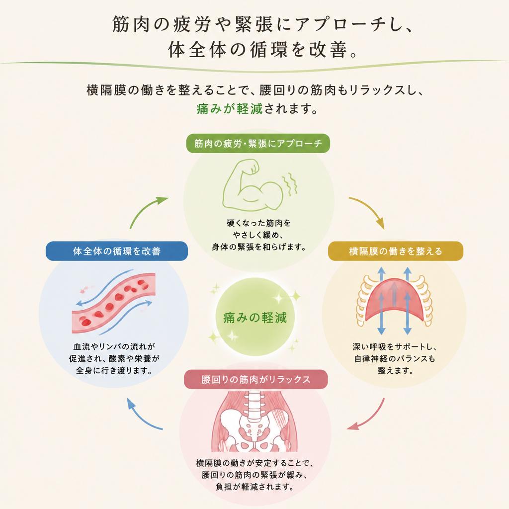 筋肉疲労を根本からケア